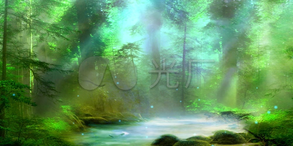 仙境 森林 树林