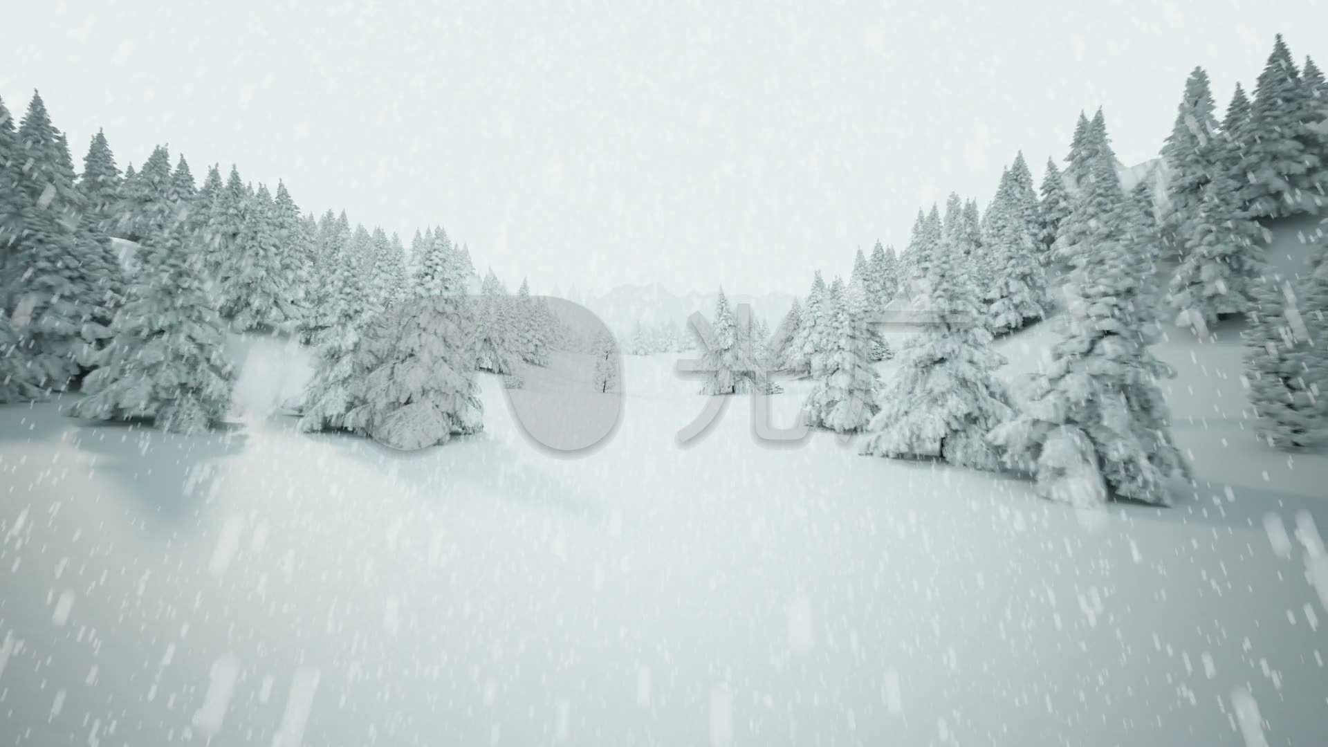 雪中树林 场景背景视频素材 www.vjshi.