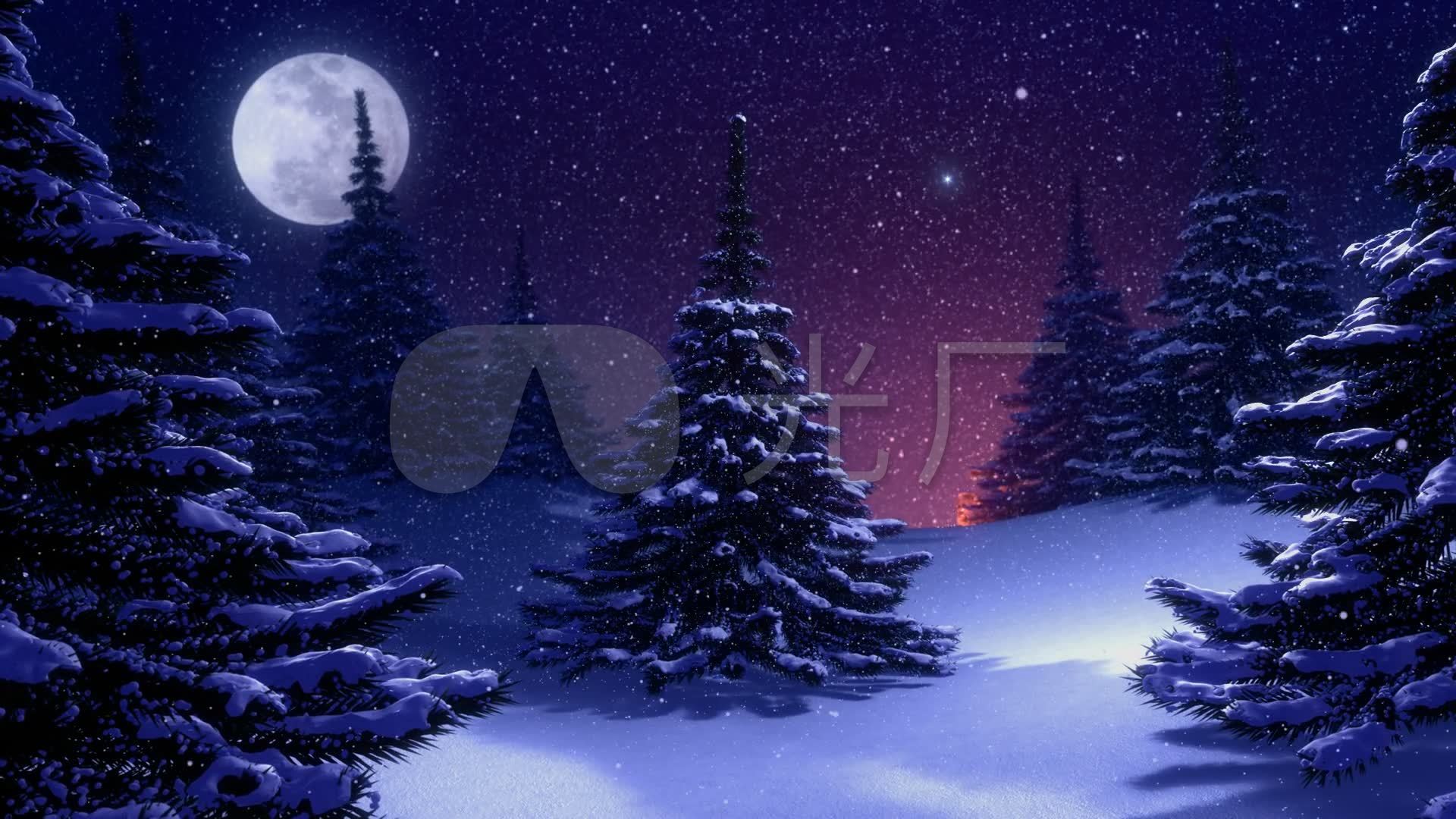 雪中夜景圣诞树