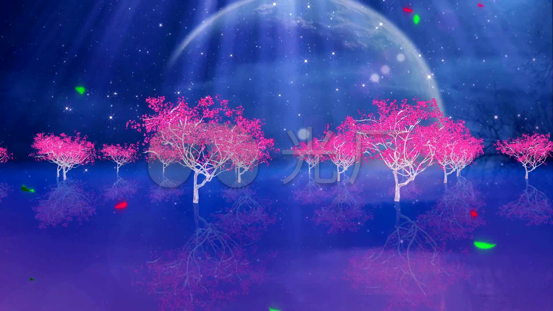 唯美大气桃花林 民歌民族中国风 月亮雪花风景