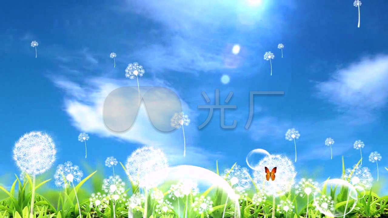 视频素材 舞台背景 场景背景 唯美蓝天白云蒲公英  来自视频原始文件