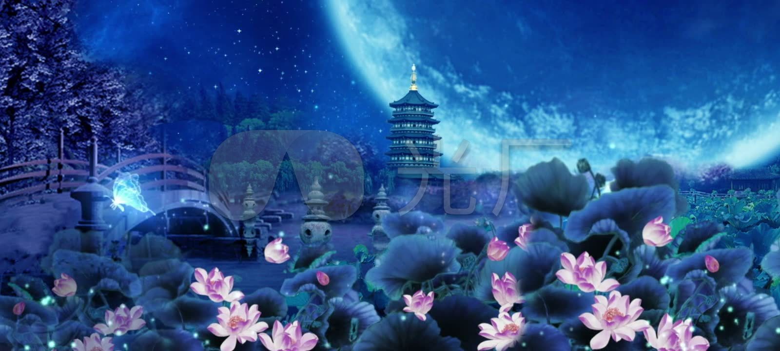 千年等一回唯美夜景