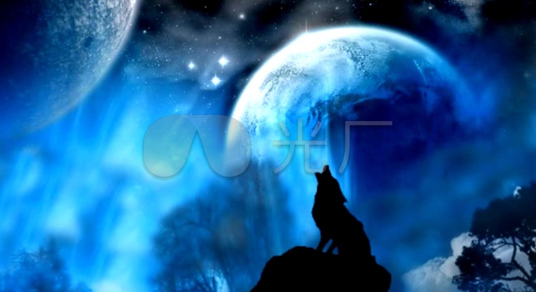 唯美极光月夜森林孤狼