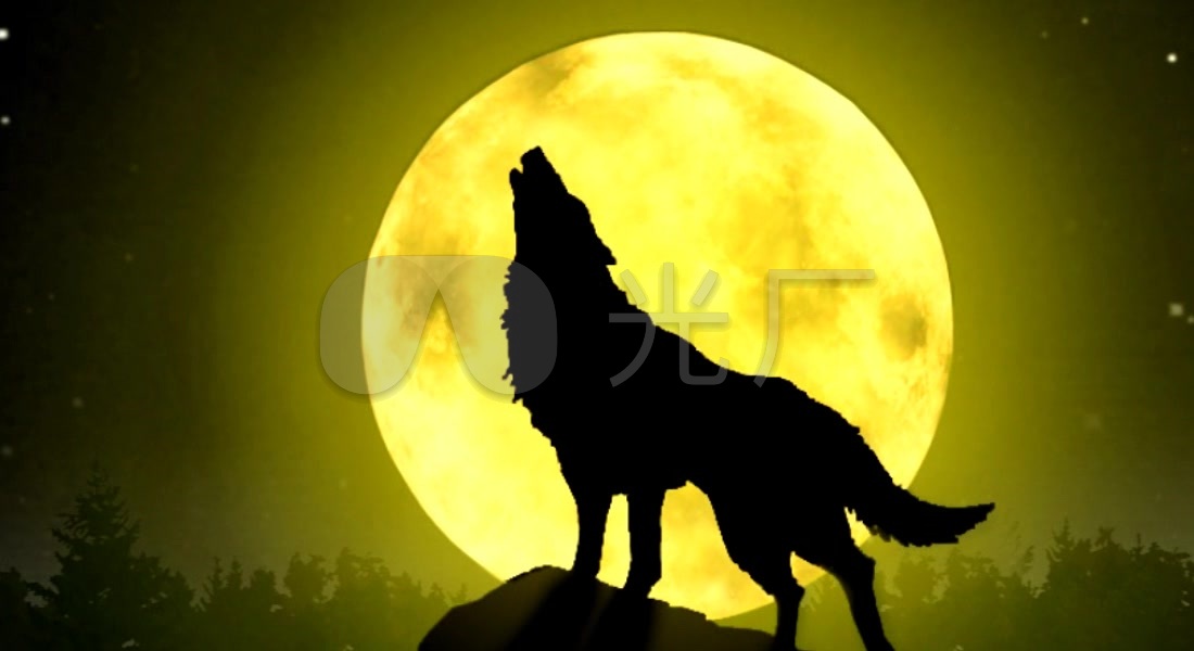 唯美极光月夜森林孤狼