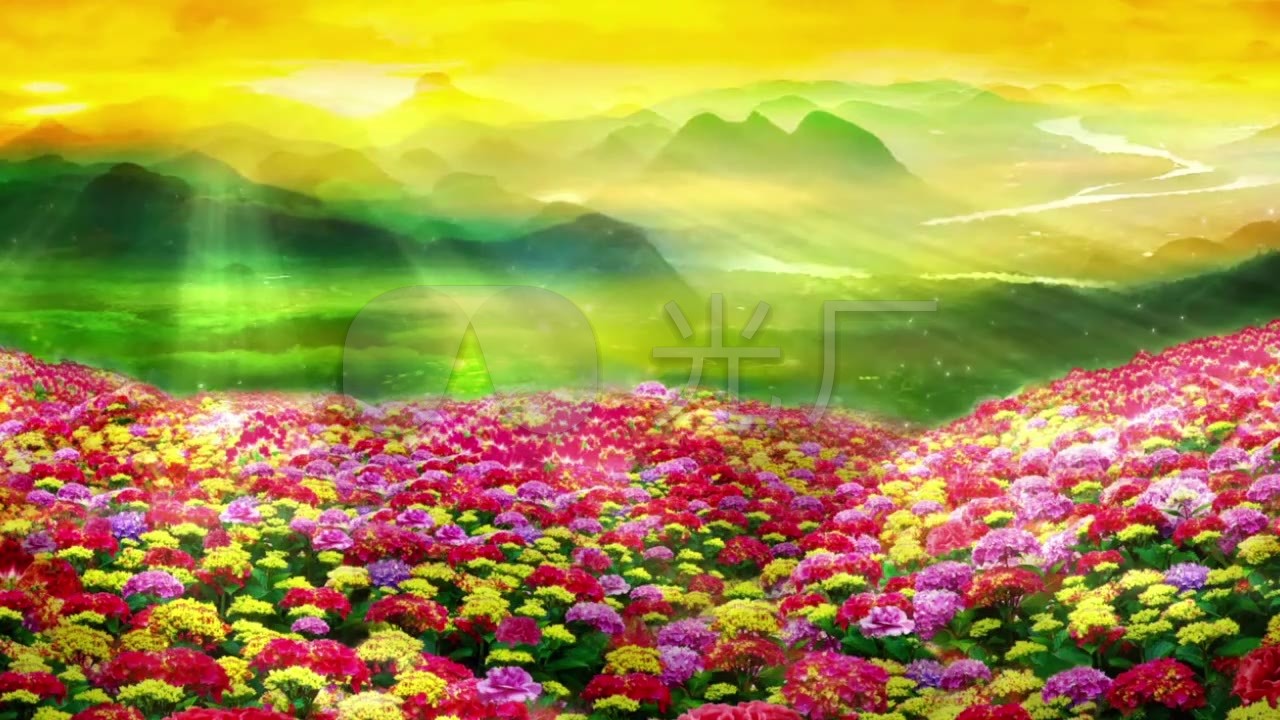 唯美阳光青山百花齐放金光花海云海_1280x720_高清(:)