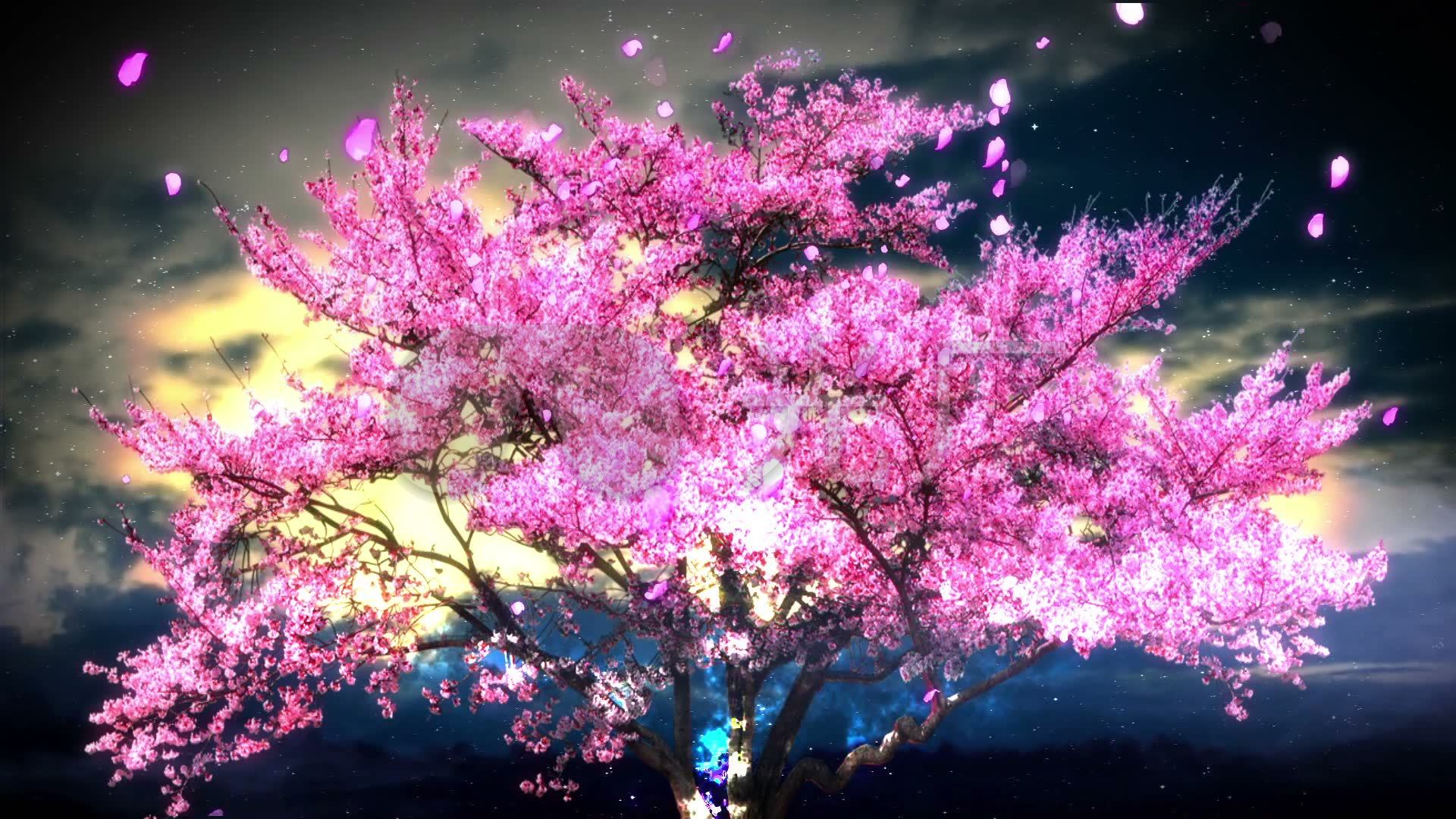 唯美夜色中的流光樱花树
