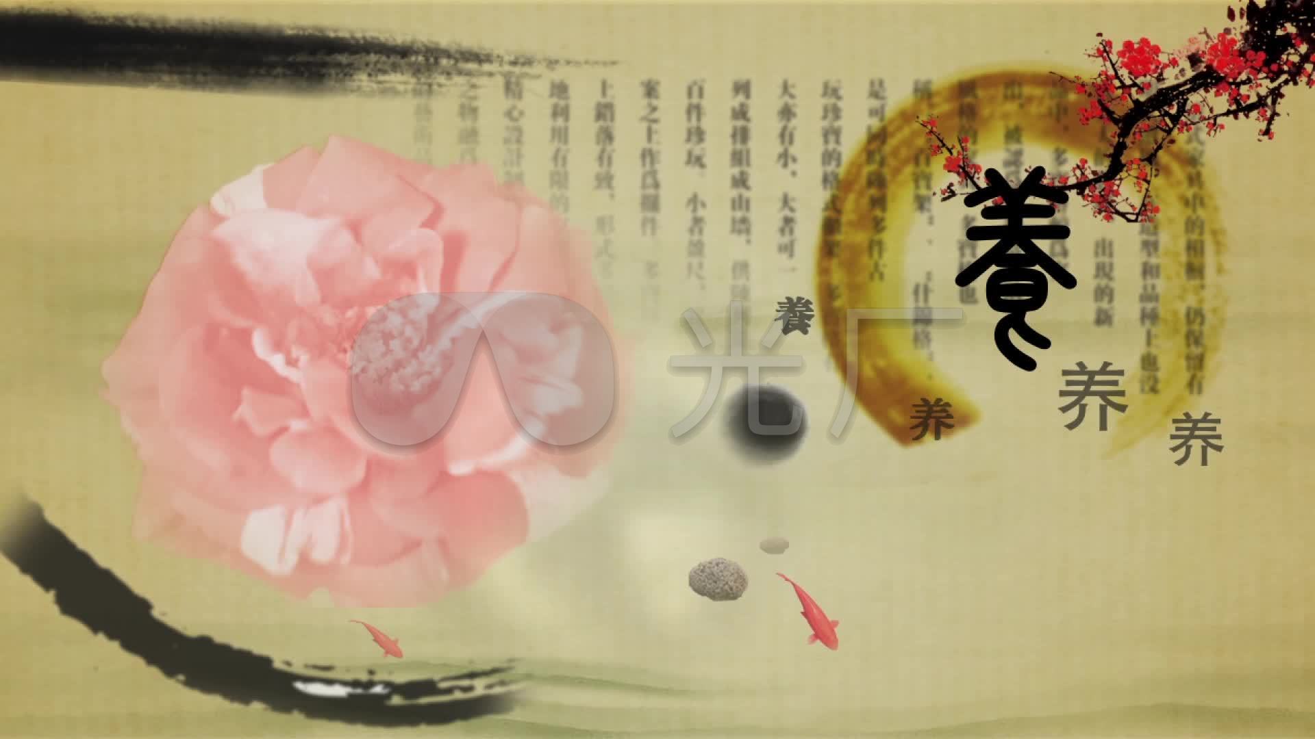 养生视频栏目-车祸-a视频养生-片头保健片头中医中药多栏目图片