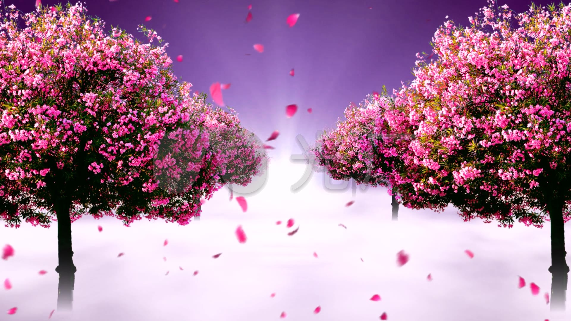 唯美桃花林__1920x1080_高清视频素材下载(编号:104011)_舞台背景_vj