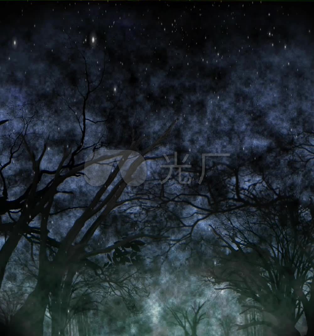 恐怖阴森的夜晚森林视频素材_1000x1070_高清视频素材