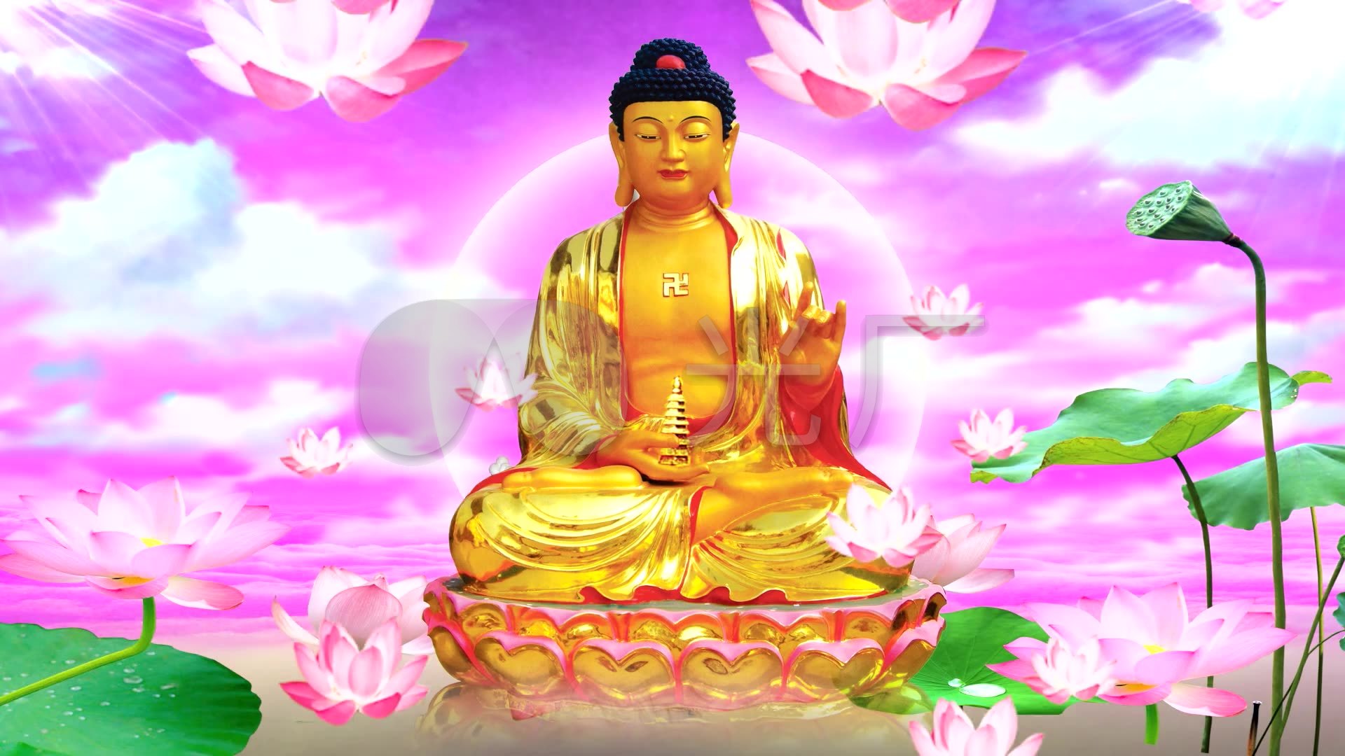 金佛如来佛祖 菩萨视频