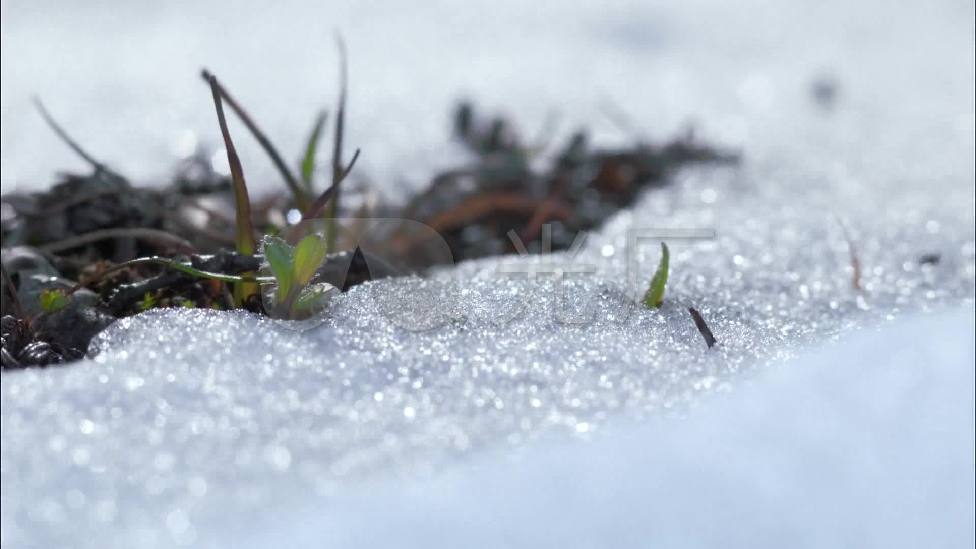 冰雪融化__春天_1920x1080_高清视频素材下载(编号:)