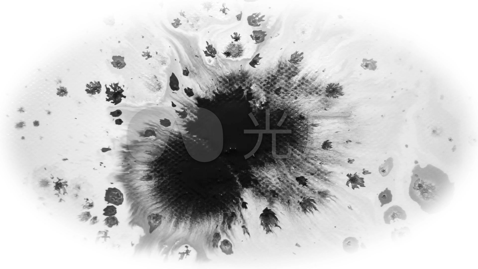 墨点染开动画视频