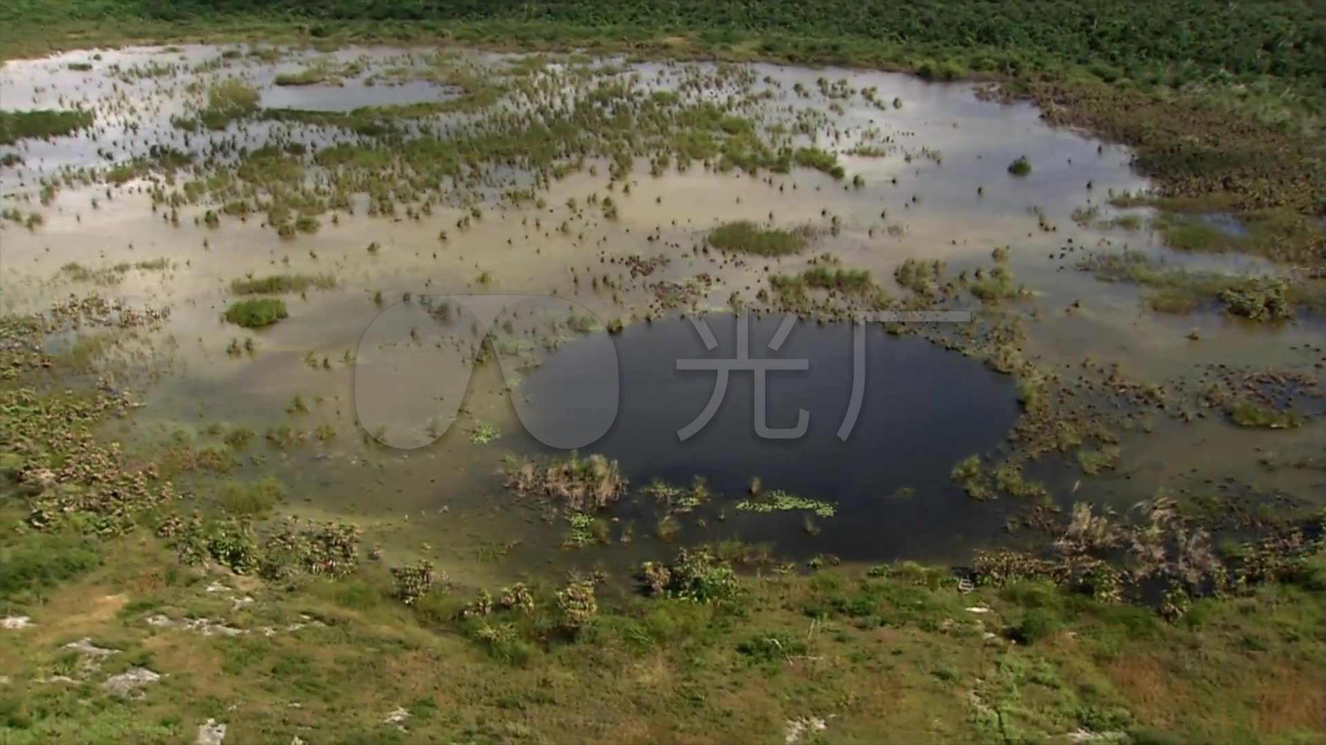 航拍沼泽地