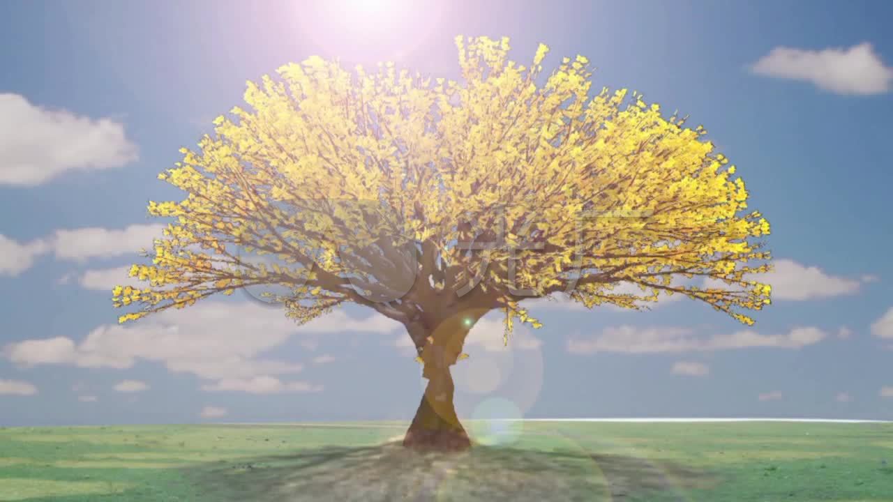 树成长小树变大树_1280x720_高清视频素材下载(编号:)