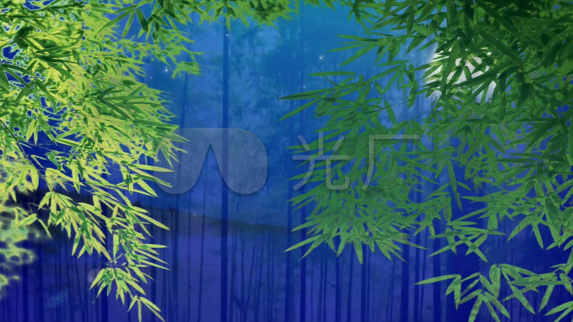 月光下的凤尾竹