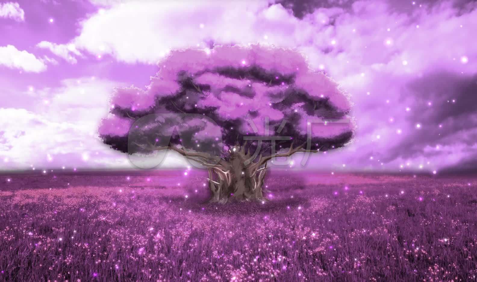 紫色梦幻大树花田粒子唯美背景