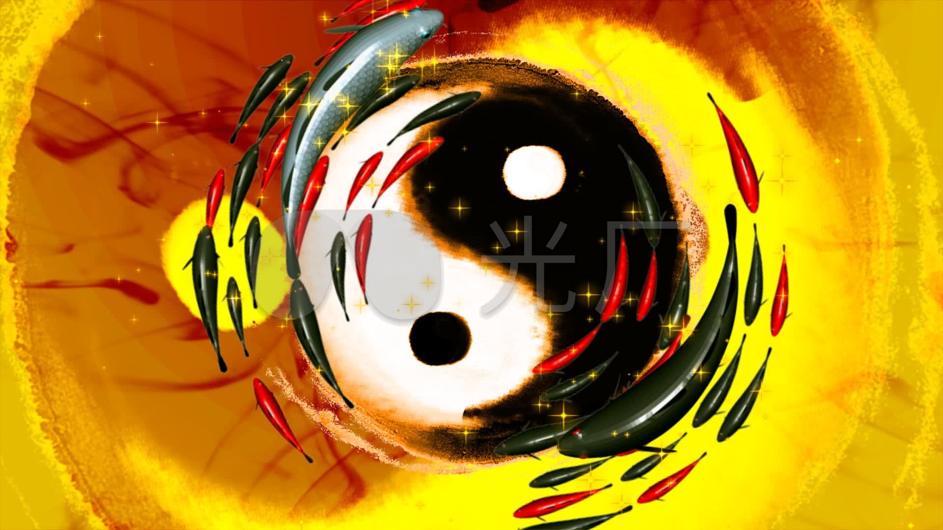 阴阳鱼太极视频_1920x1080_高清视频素材下载(编号:)