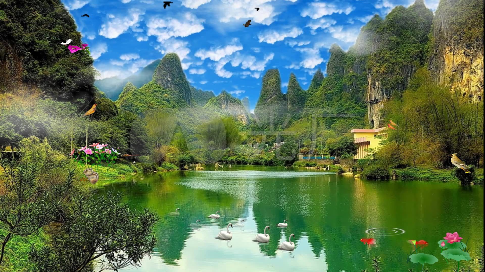池塘荷花青山绿水led背景视频素材_1920x1080_高清(:)