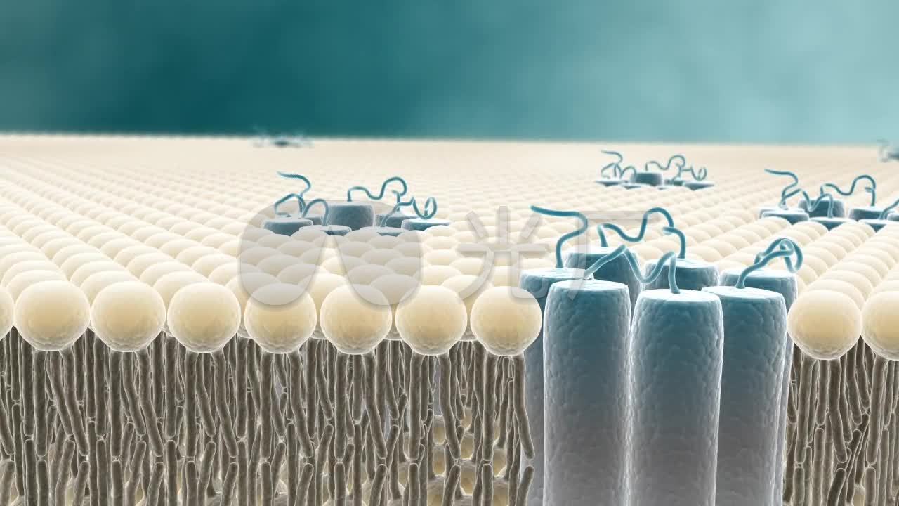 三维细胞生物微生物分子模型动画原理展示