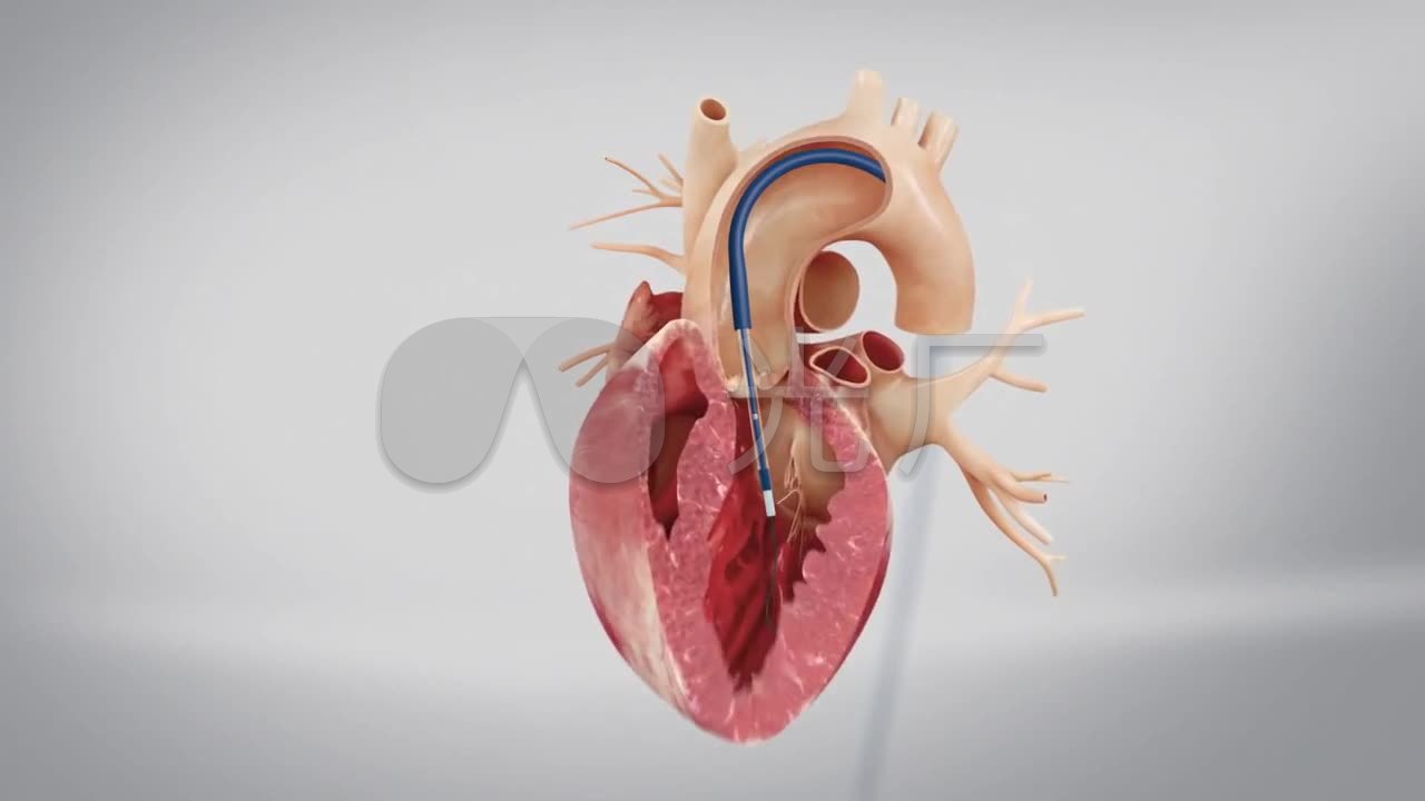 vj师cg医学3d人体心脏三维机理动画_1280x720_高清(:)
