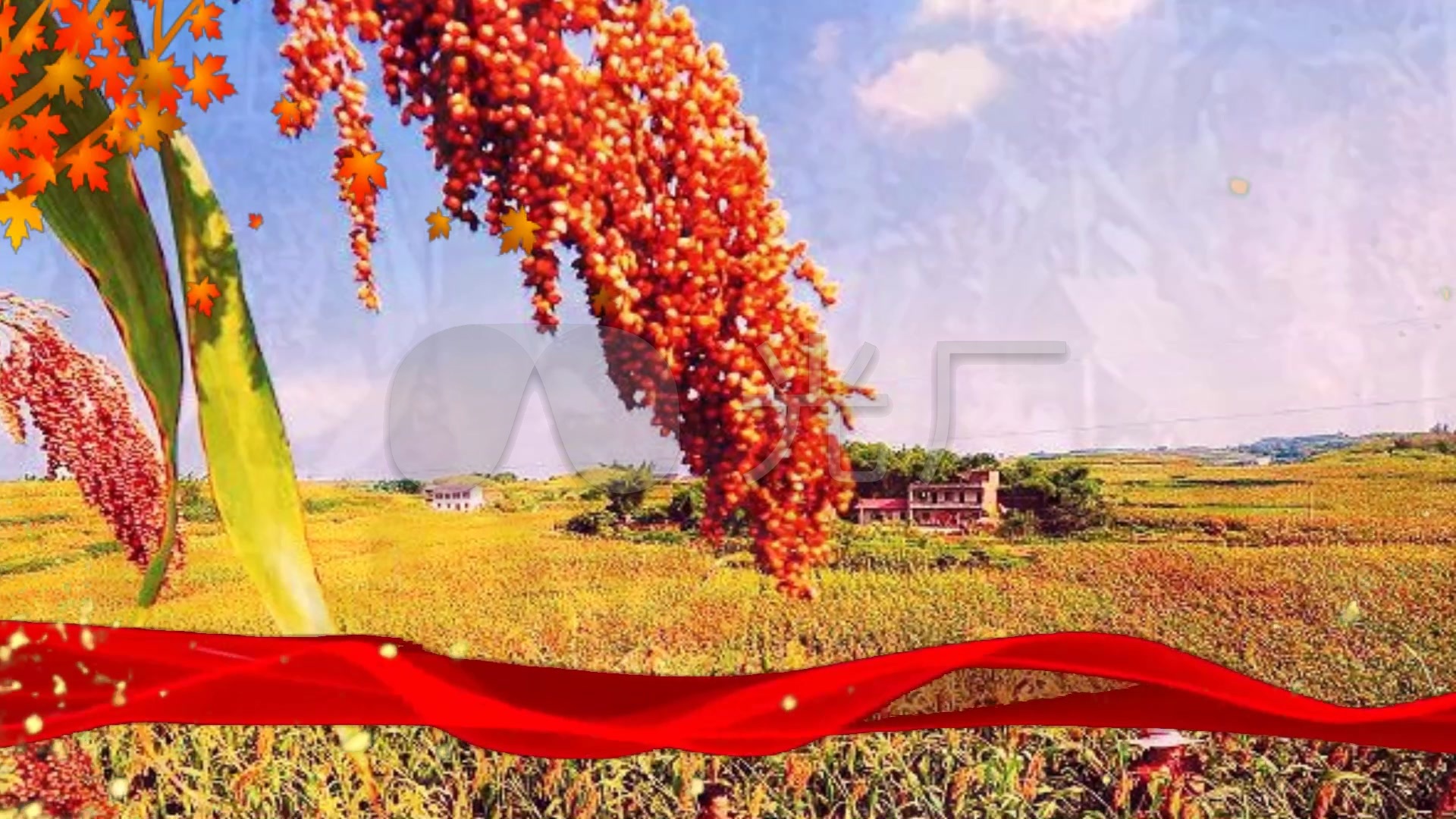 视频素材 舞台背景 配乐歌舞 九儿《红高粱》动感配乐成品