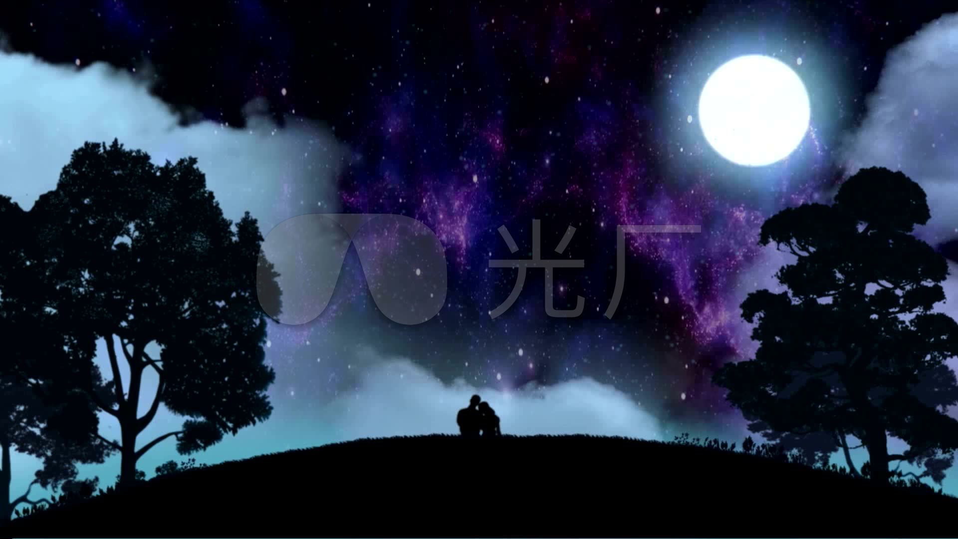 唯美月夜星空下