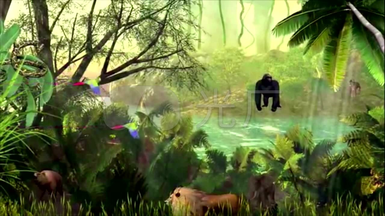 森林动物世界原始森林雨林丛林非洲亚马逊