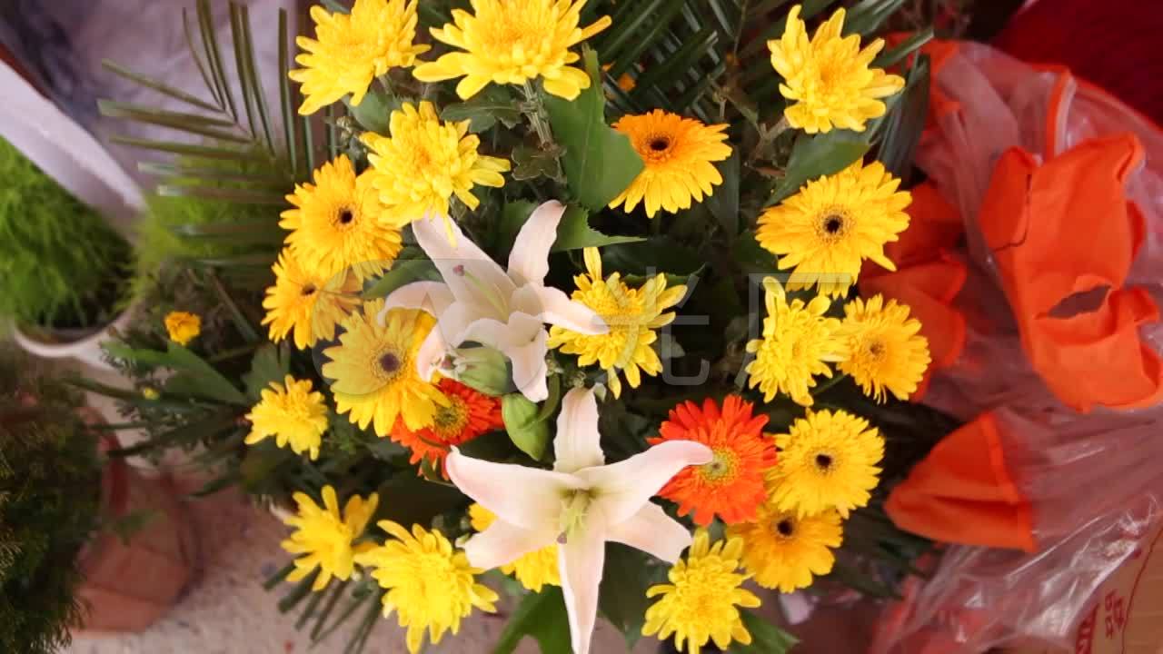 菊花 祭奠 转动