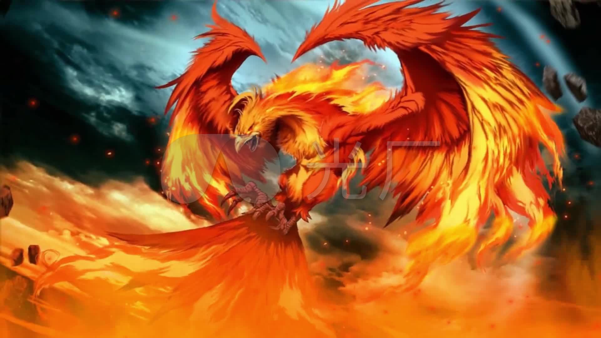 海贼王人口拍卖会是几号半岛_海贼王手机壁纸(3)