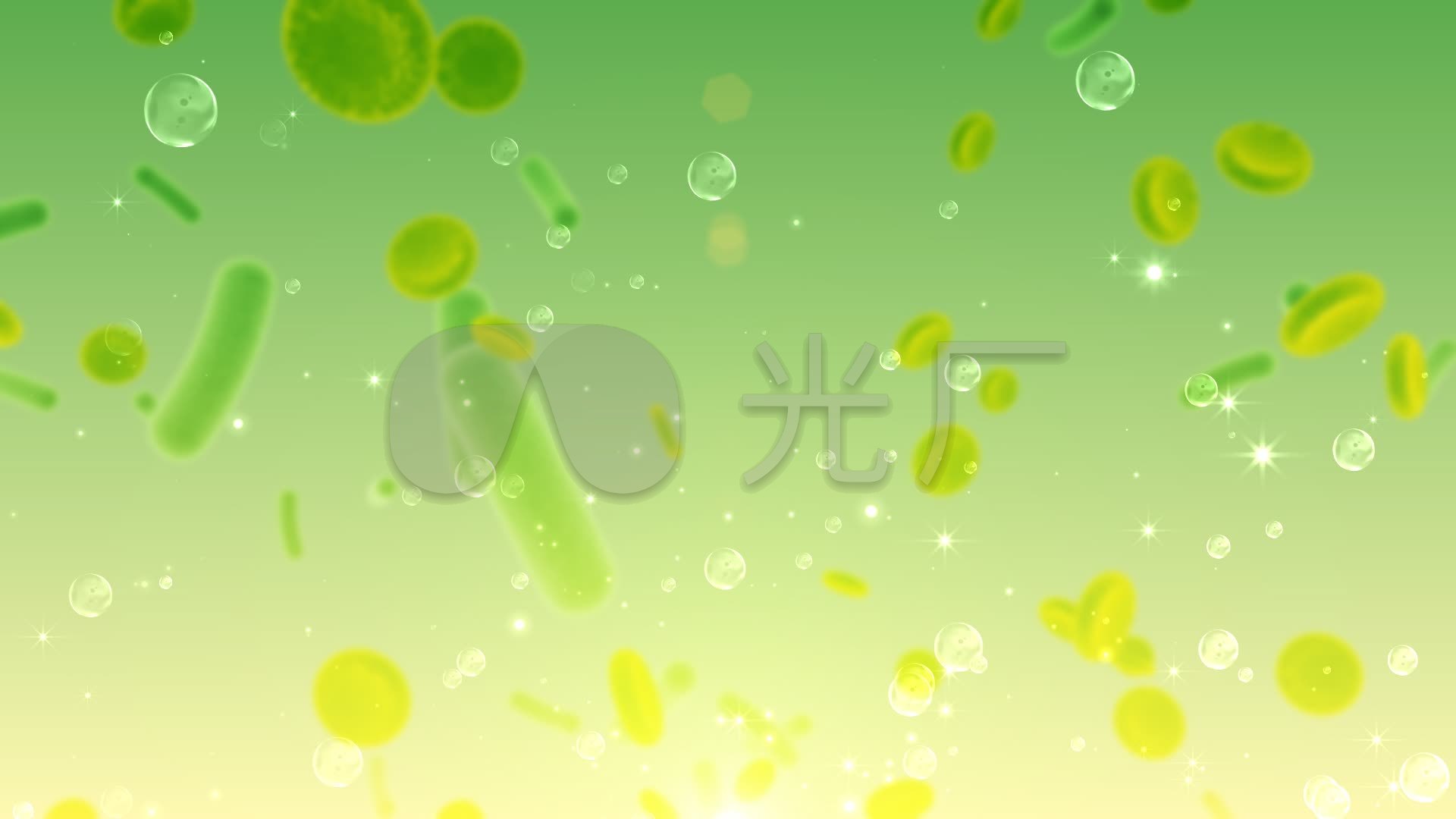 生物细胞科技课件字幕背景