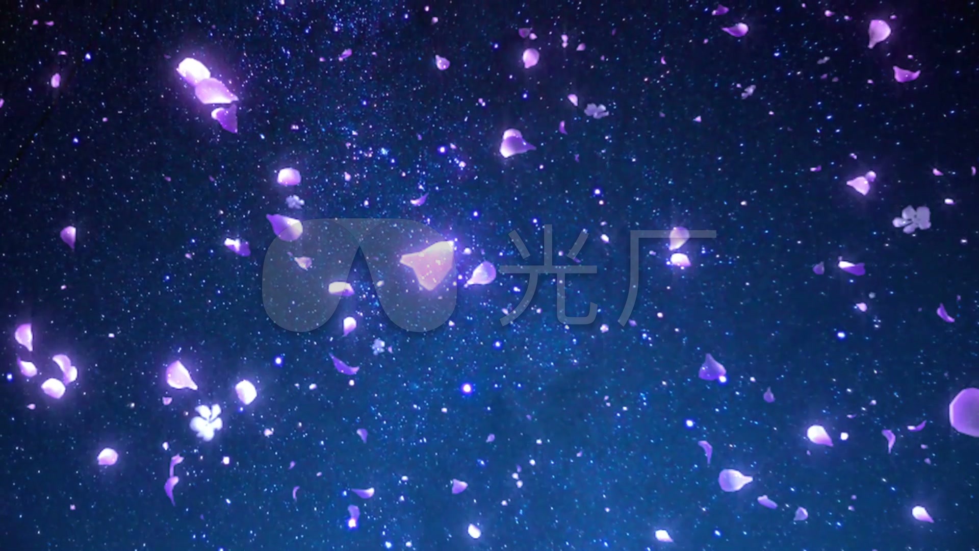 超美超仙的花瓣星空_1920x1080_高清视频素材下载(编号:306322)_舞台