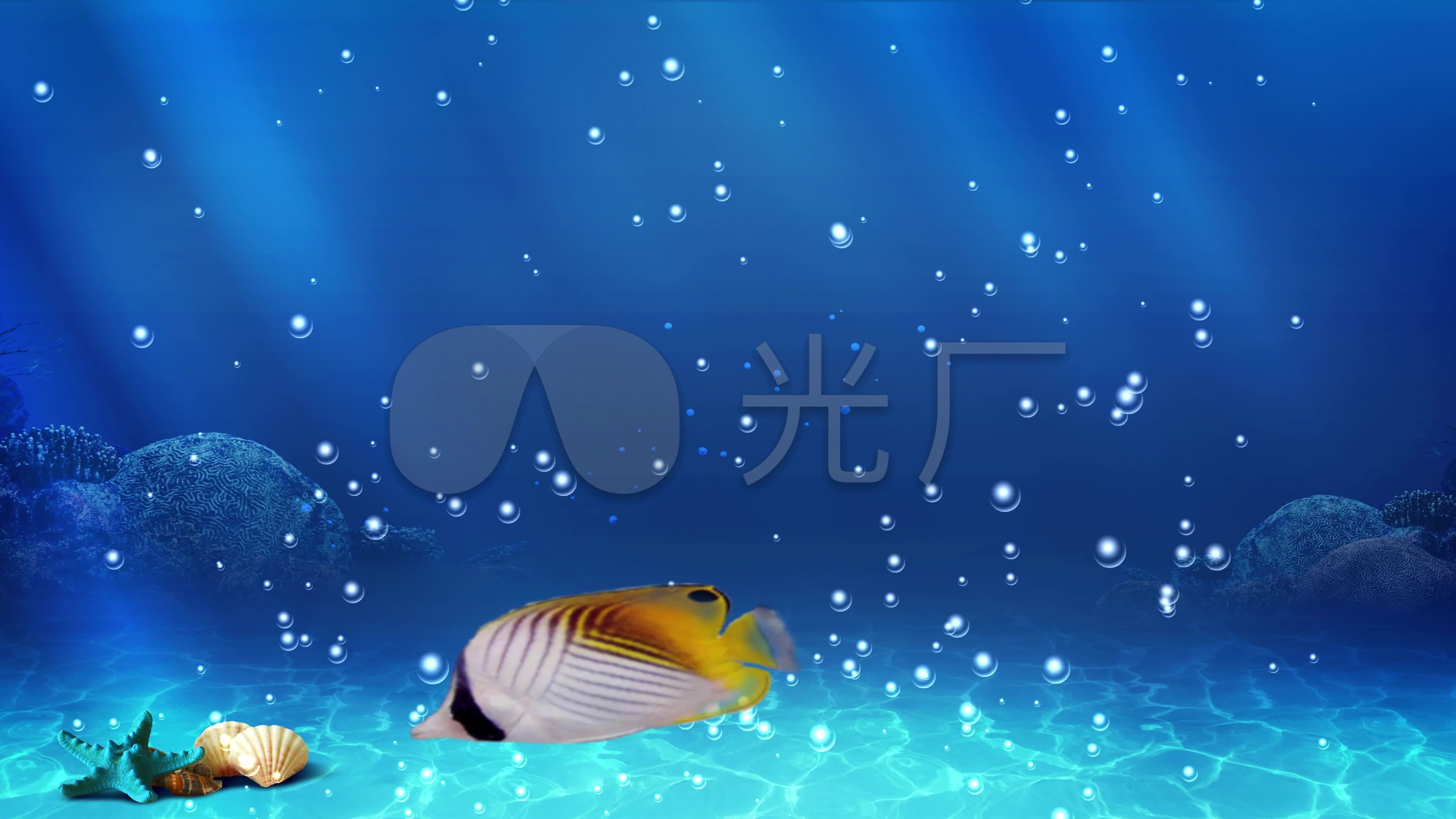 4k超清led背景海底世界_3840x2160_高清视频素材下载