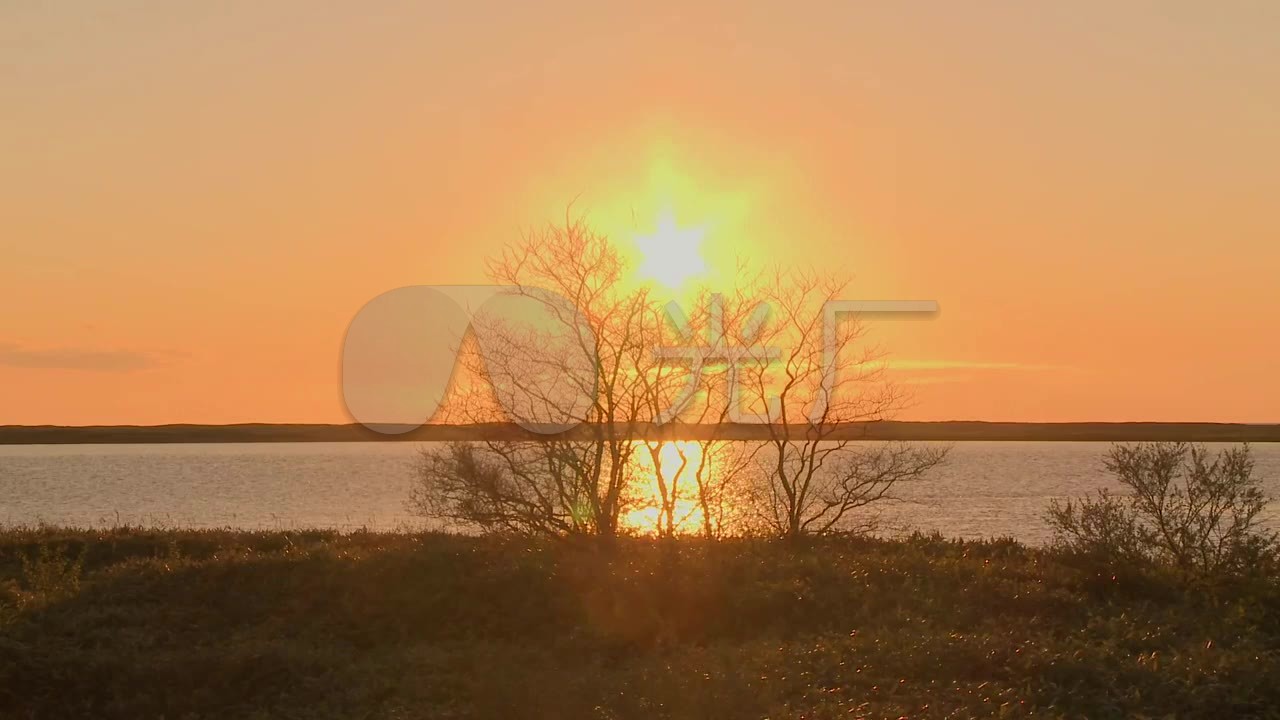 夕阳落日河边树梢夕阳视频循环