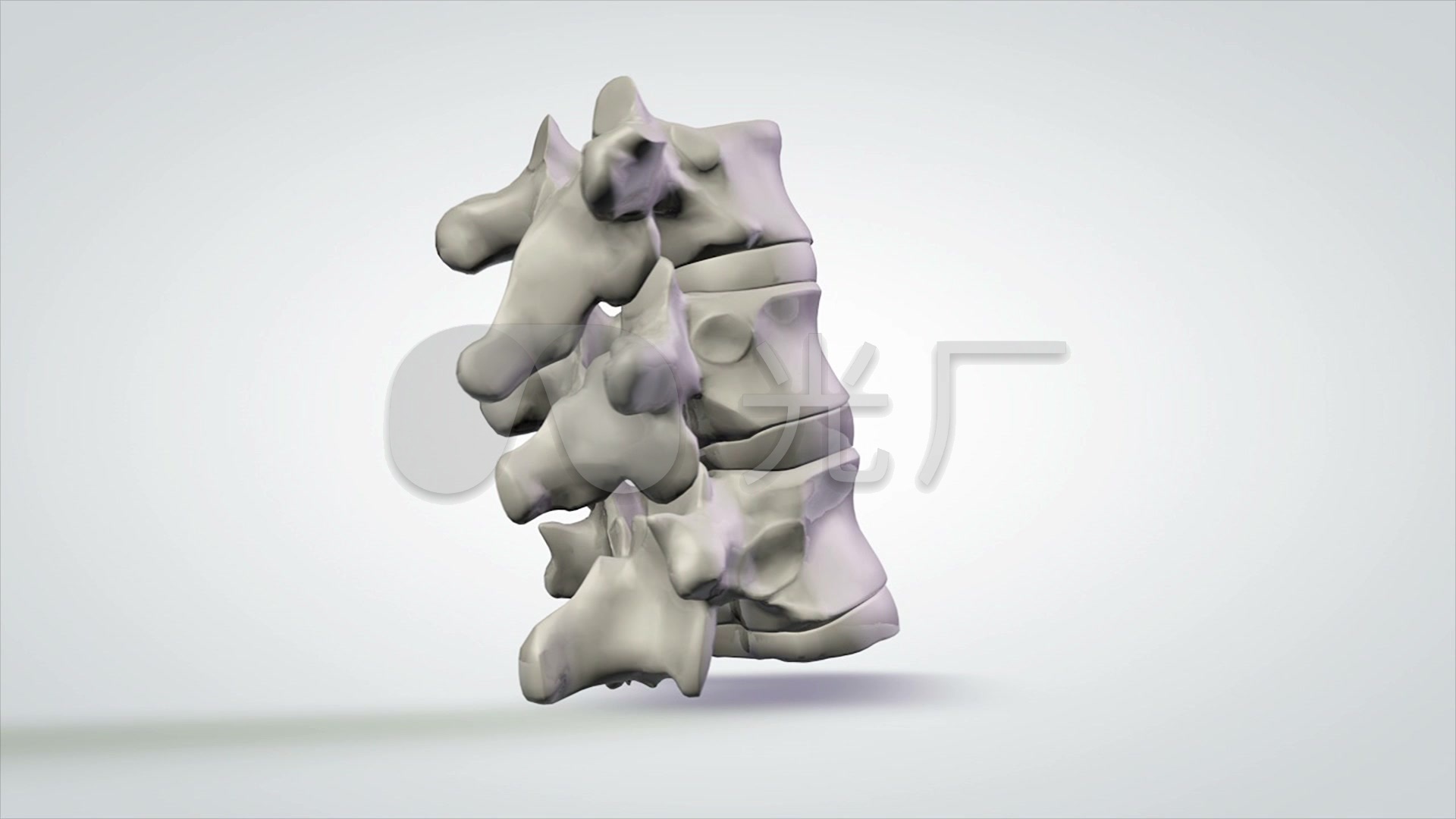3d医学模型人体椎骨模型_1920x1080_高清视频素材下载(编号:353779)