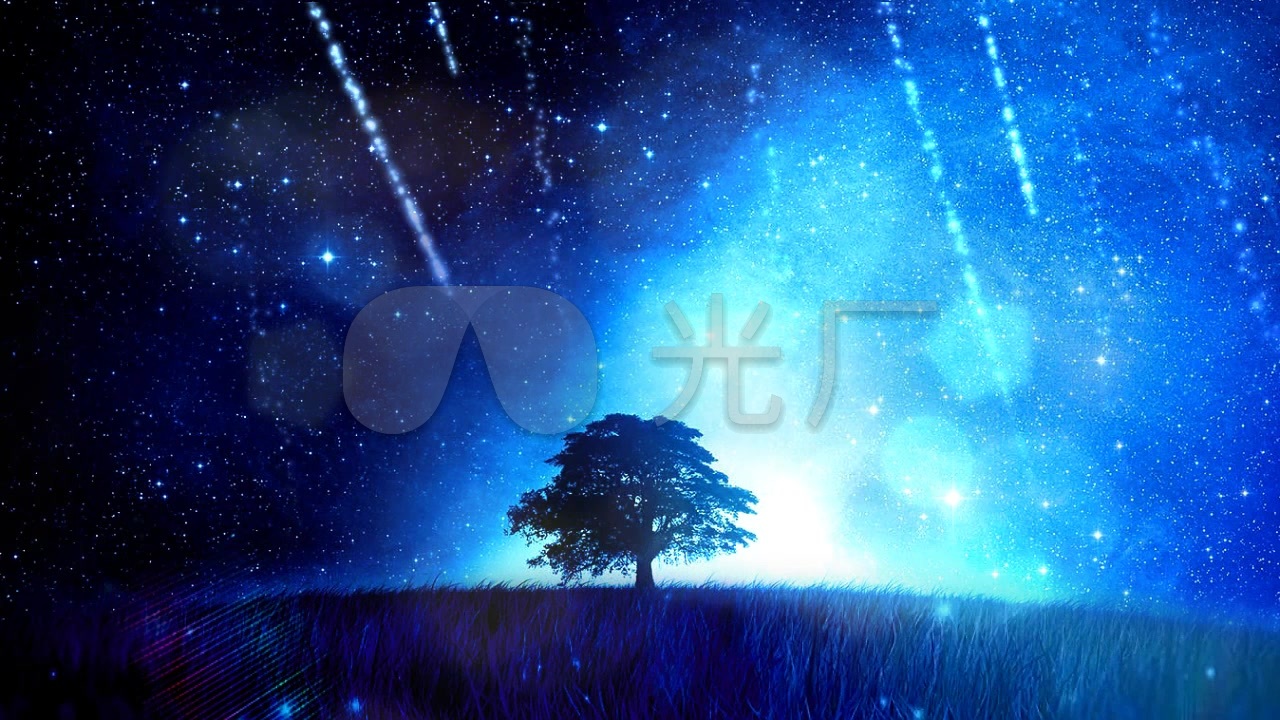 流星雨飞舞唯美夜空树梦幻星空树婚礼演出