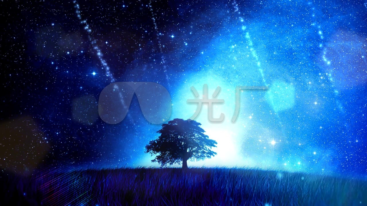 流星雨飞舞唯美夜空树梦幻星空树婚礼演出