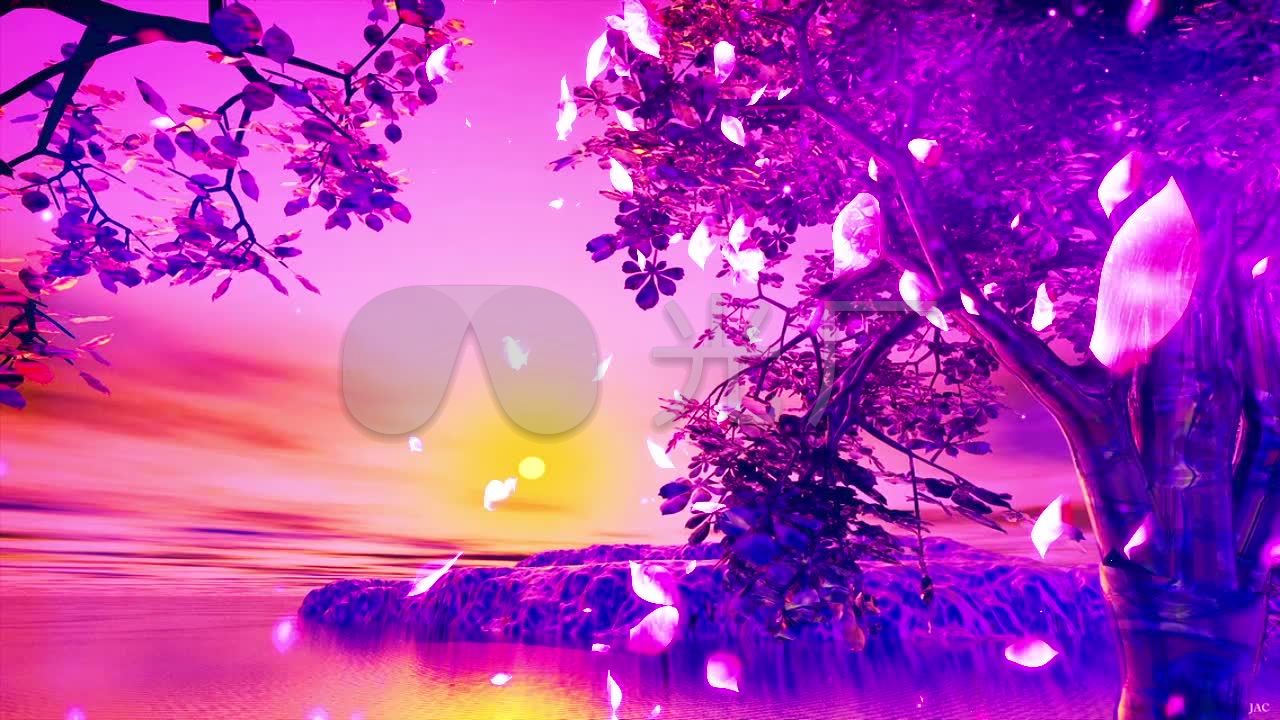 超唯美紫色梦幻桃花朦胧雾气仙境视频背景_1280x720