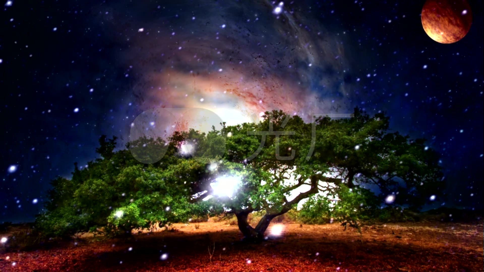 全息婚礼星系月光星空发光许愿幸福树