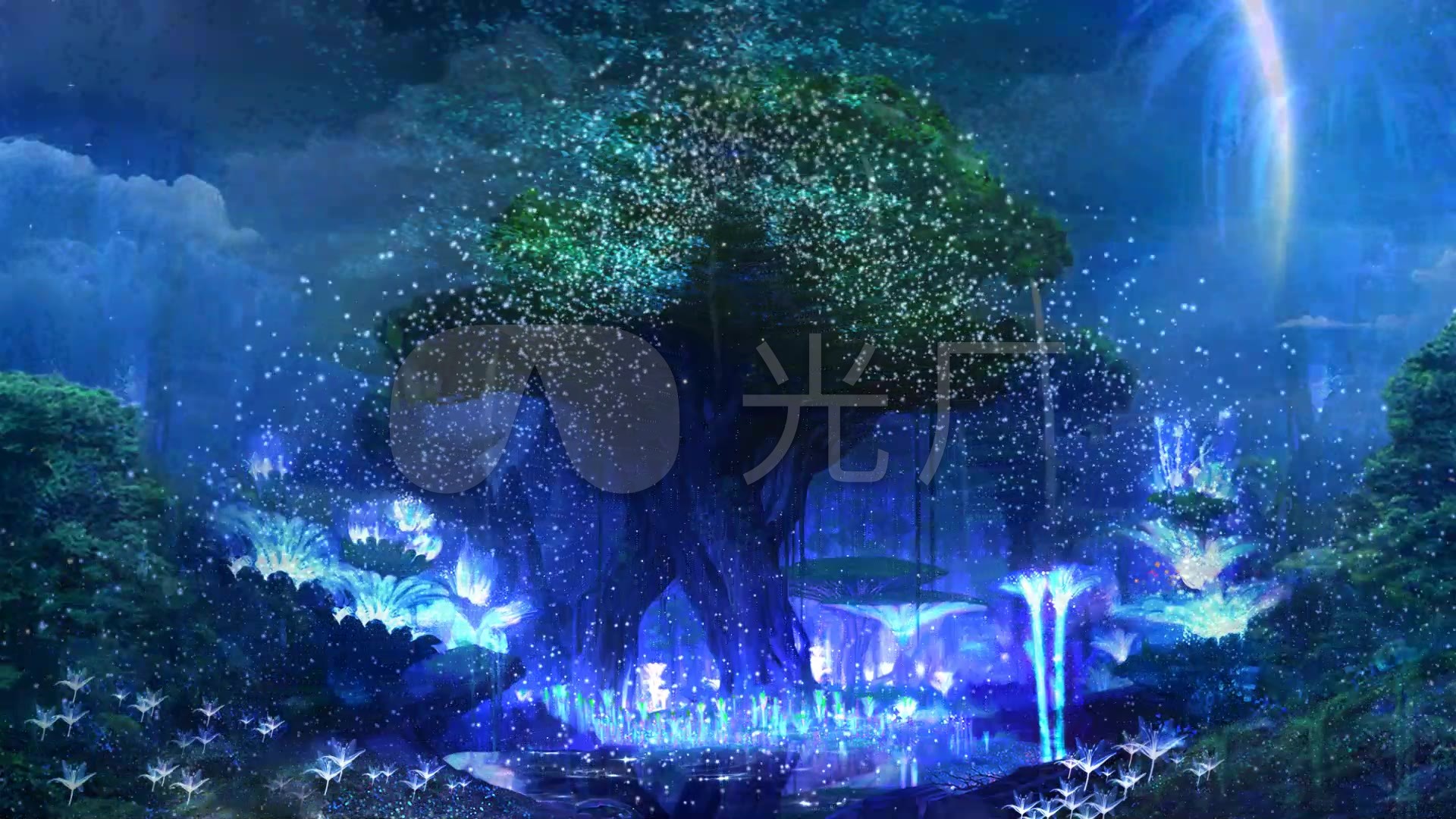 梦幻阿凡达效果森林_1920x1080_高清视频素材下载(:)
