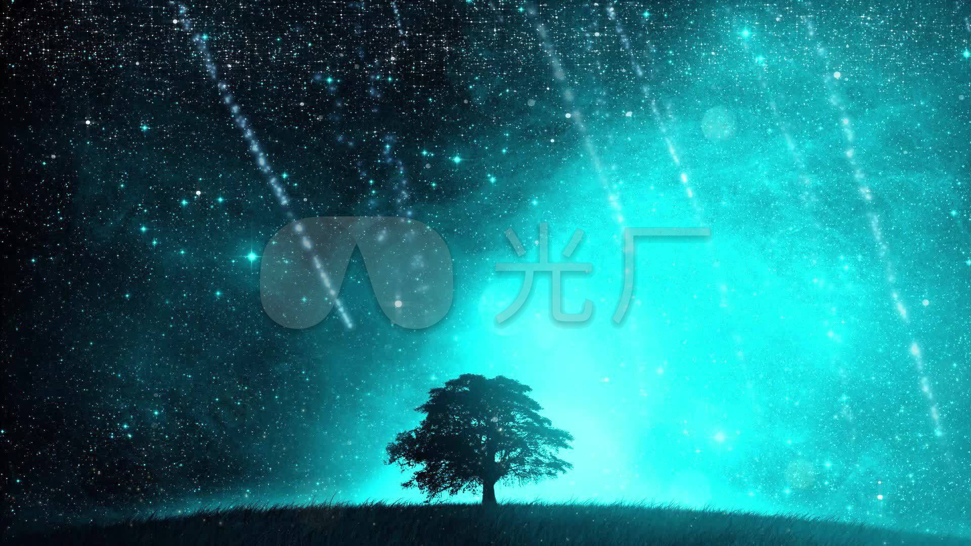 1920x1080星空,1080*1920电脑壁纸 星空唯美蓝色流星树_1920x1080_高清视频素材下载(:)