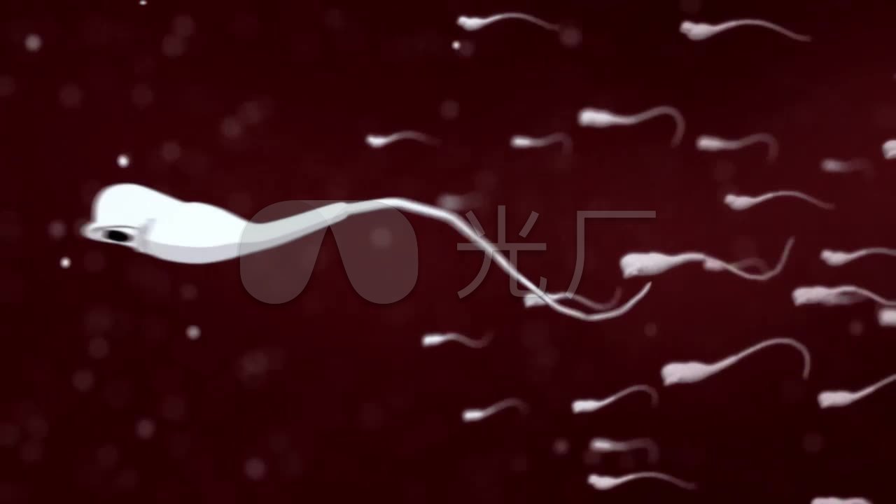 创意精子小蝌蚪与卵子结合动画