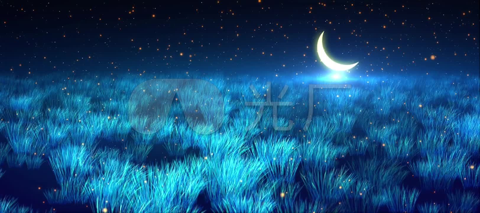 月夜草地星空