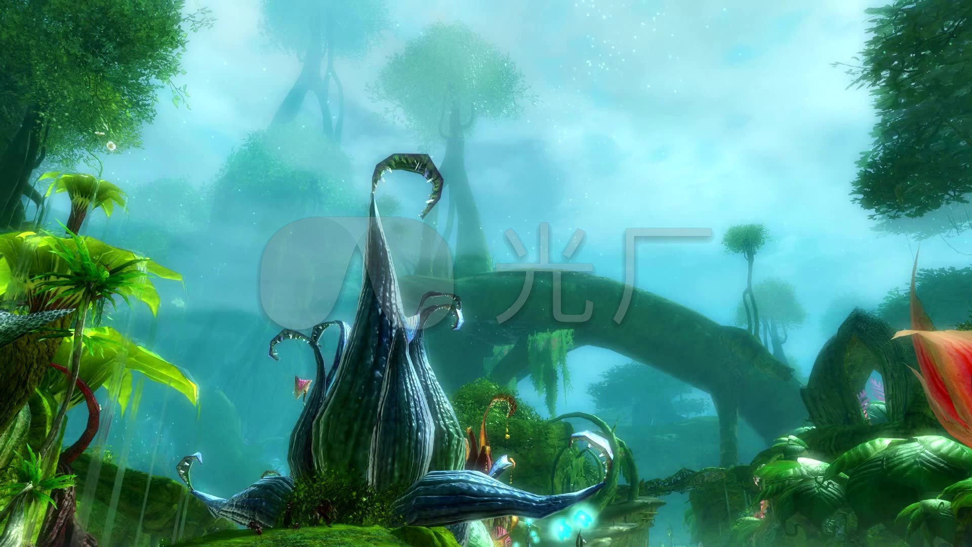 蓝光壁纸1920x1080唯美,蓝光壁纸1920x1080动漫 魔幻森林,原始森林,唯美,梦幻,仙境_1920x1080_高清