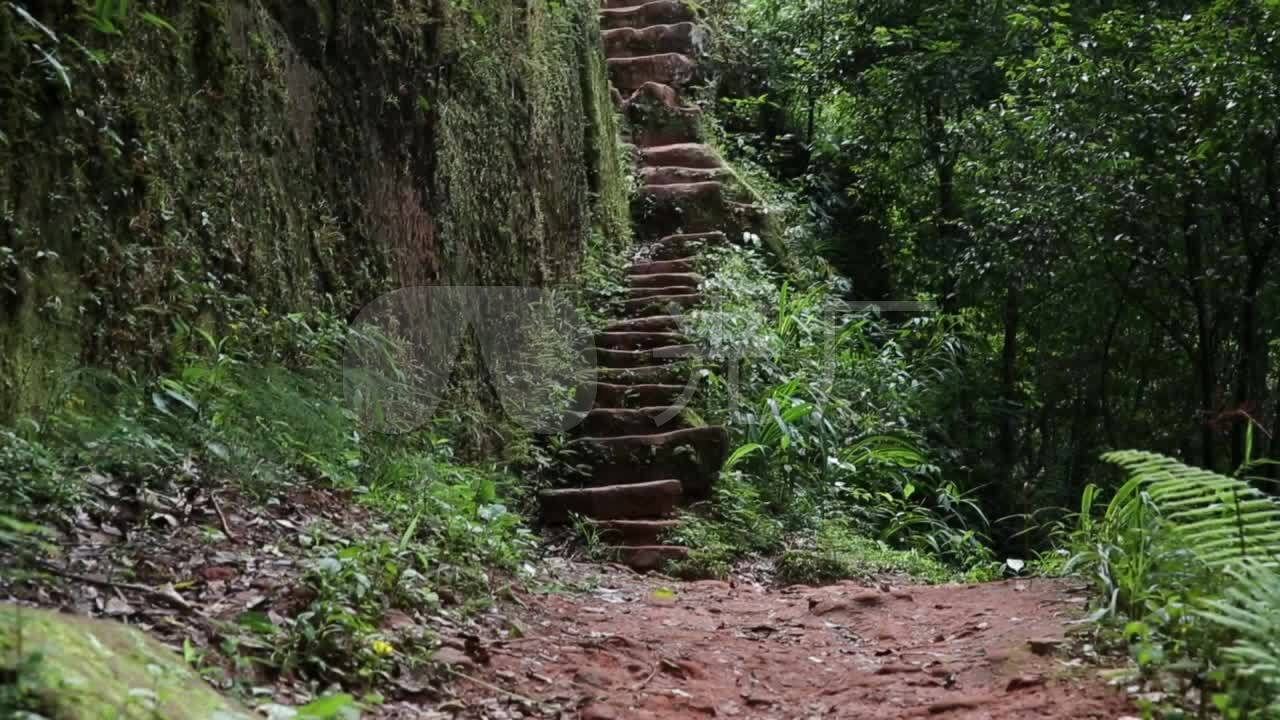 爱情天梯 山路 石阶