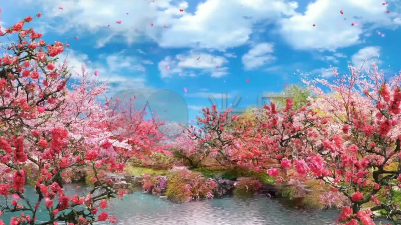 四季自然风景交换春夏秋冬更替