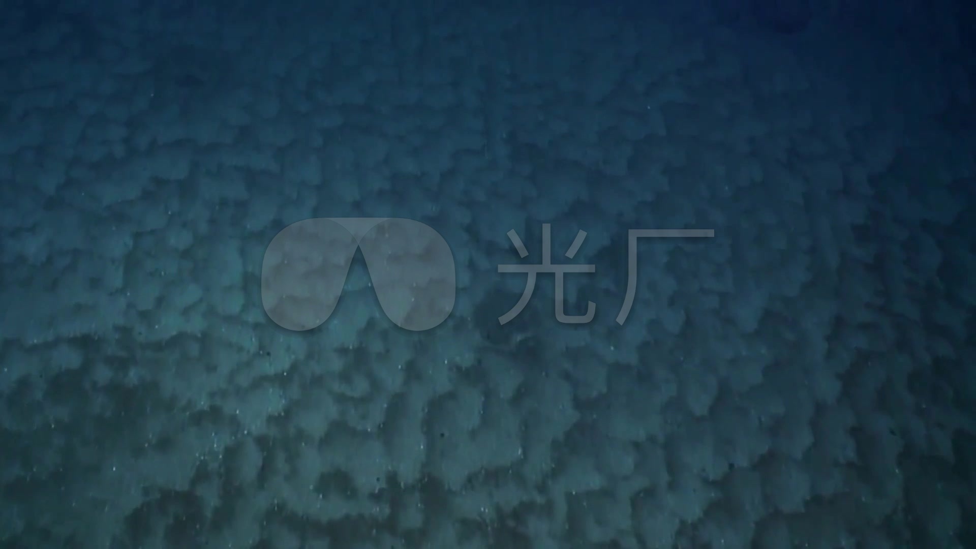 深海壁纸1920x1080,海滩壁纸1920x1080 深海2000米观察珊瑚礁鱼群_1920x1080_高清视频素材