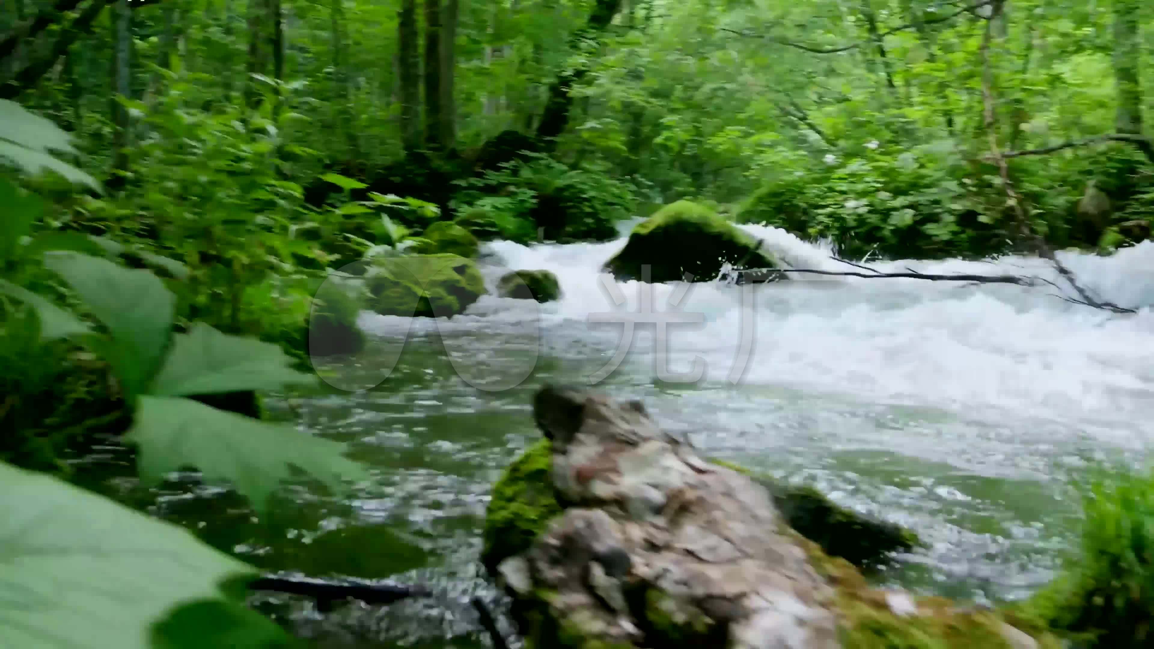 视频素材 实拍视频 自然风景 4k画质大自然森林风光景色  来自视频