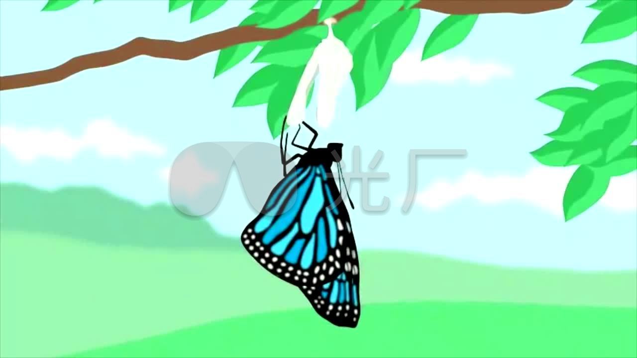 化茧成蝶生命诞生卡通演绎_1280x720_高清视频素材(:)