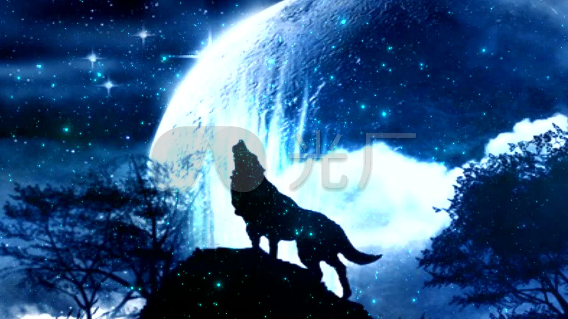 饿狼传说狼图腾月夜孤狼神秘狼