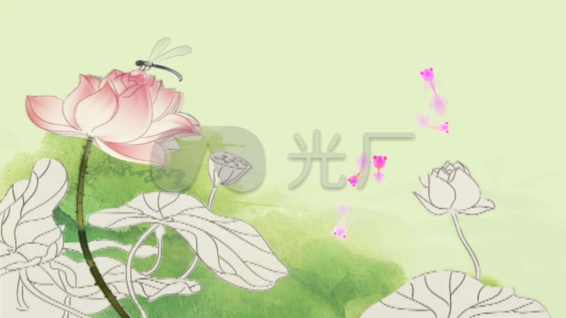 中国风自有蜻蜓立荷花